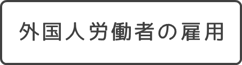 「外国人労働者の雇用」詳細をみる